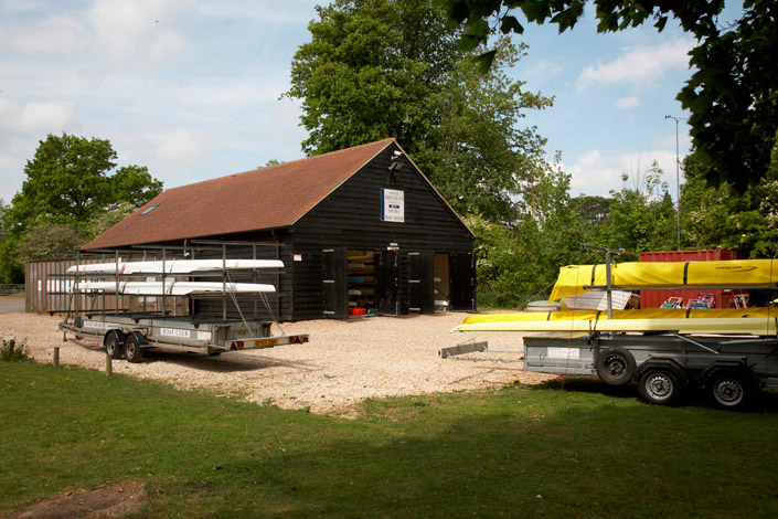 The Minnows